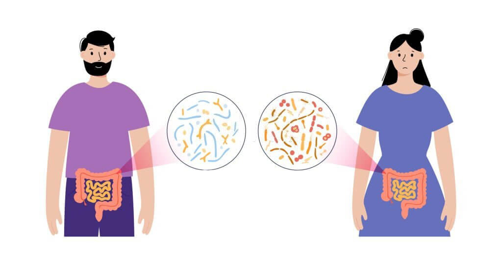 Gut brain connection, human microbiome