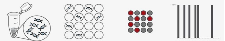 數(shù)字 PCR 原理圖