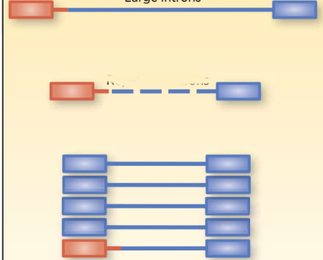 DNA檢測對融合變異的檢出存在缺陷