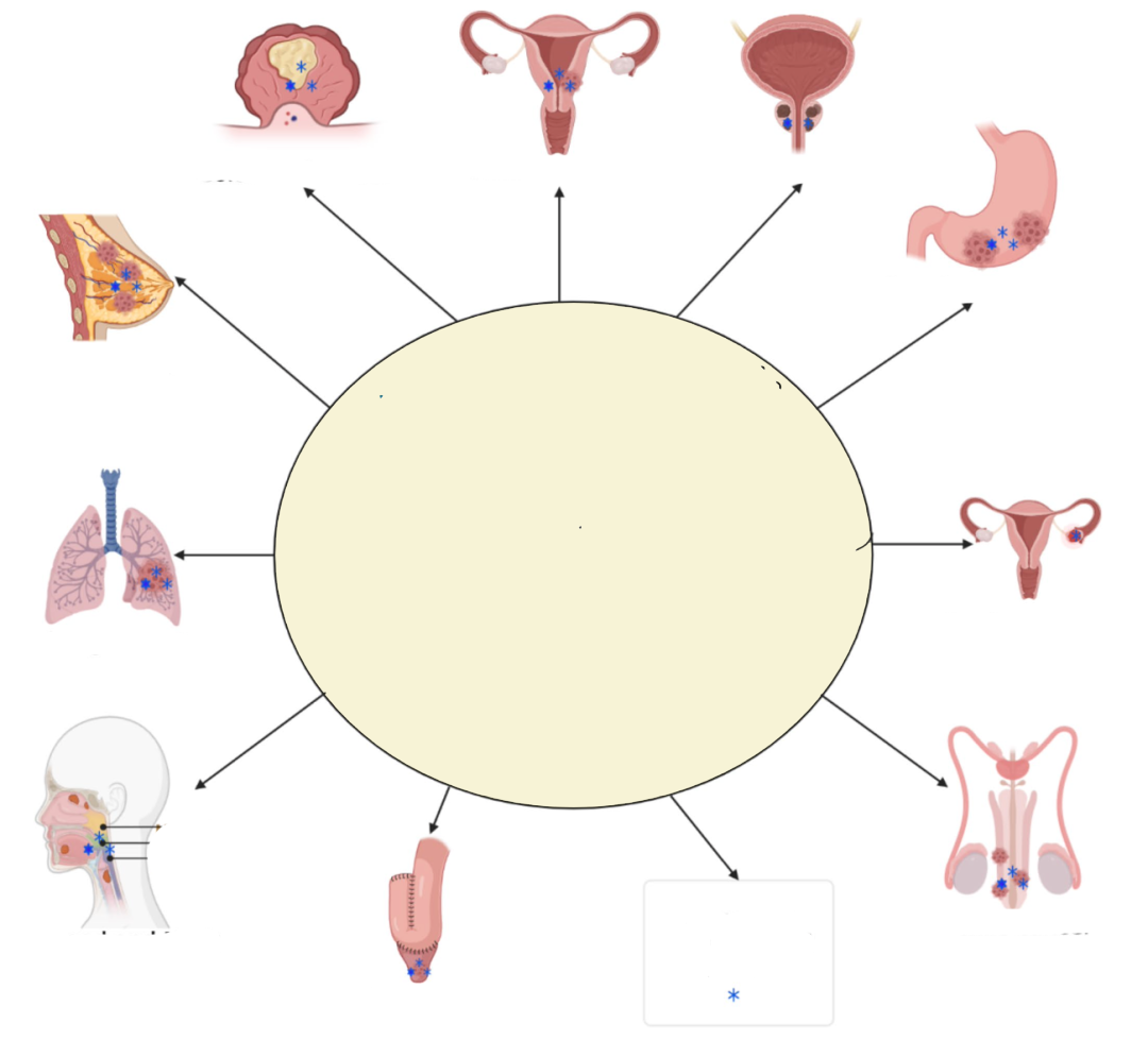 HPV驅(qū)動的不同癌癥