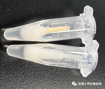 完全浸潤(rùn)情況下抗體釋放率：植絨＞棉簽拭子