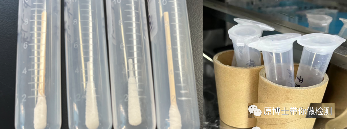 干燥后抗體釋放率：植絨>棉簽