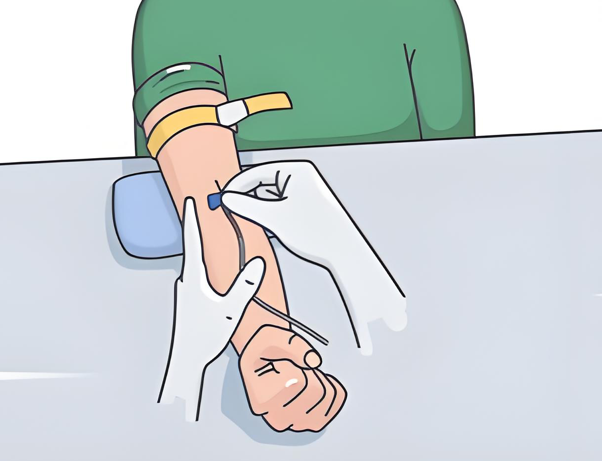 靜脈采血.png